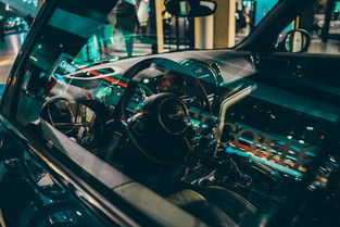 星空体育登录-世界高速滑轮挑战赛中国少年展现实力，世界滑轮比赛视频