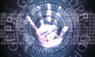 星空电竞在线平台-数字化体育场馆管理平台建设与应用分析，体育场馆智能化系统